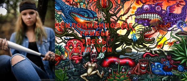 спиды Алагир