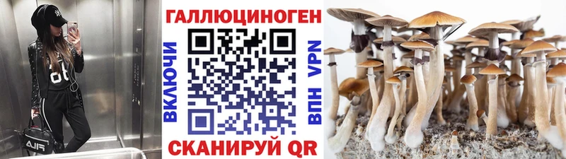 Купить  Уяр  Галлюциногенные грибы мицелий 